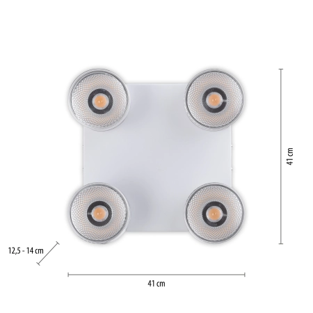 Lampa sufitowa PURE-NOLA 6864-16 - Paul Neuhaus