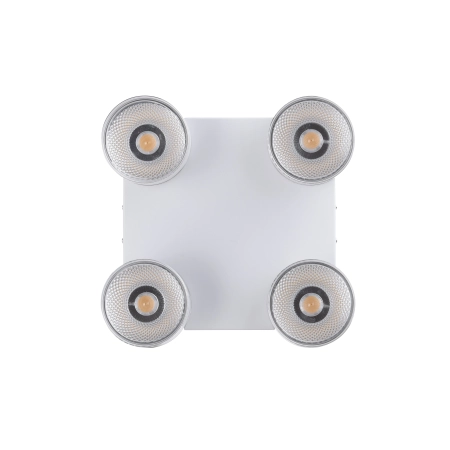 Lampa sufitowa PURE-NOLA 6864-16 - Paul Neuhaus