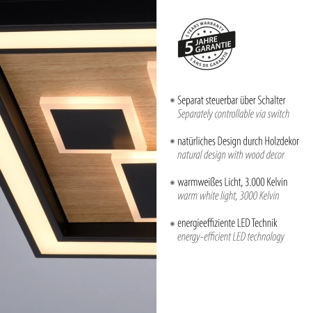 Lampa sufitowa ELIZA 6283-79 - Paul Neuhaus