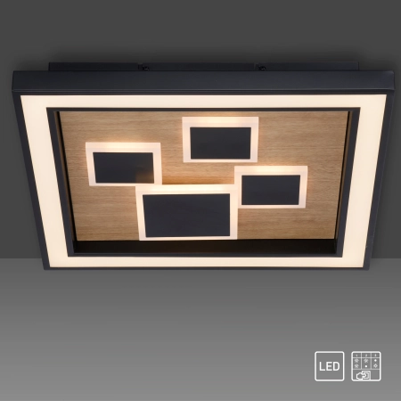 Lampa sufitowa ELIZA 6283-79 - Paul Neuhaus