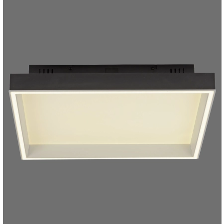 Lampa sufitowa z aplikacją i pilotem Q-MAGONG 6316-18 - Paul Neuhaus