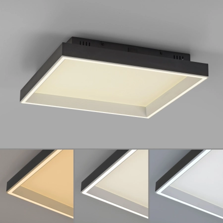 Lampa sufitowa z aplikacją i pilotem Q-MAGONG 6316-18 - Paul Neuhaus
