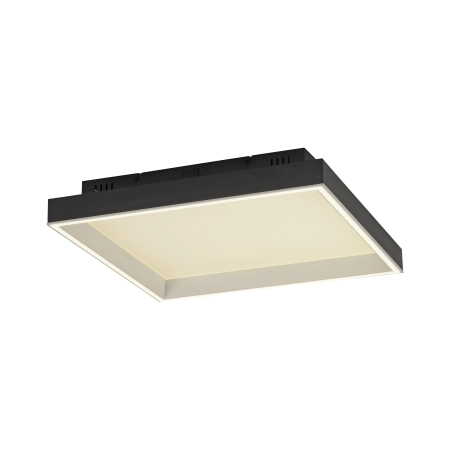 Lampa sufitowa z aplikacją i pilotem Q-MAGONG 6316-18 - Paul Neuhaus