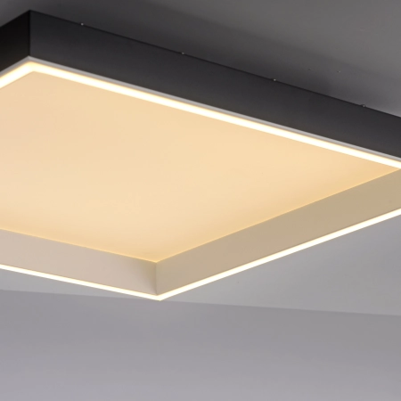 Lampa sufitowa z aplikacją i pilotem Q-MAGONG 6316-18 - Paul Neuhaus