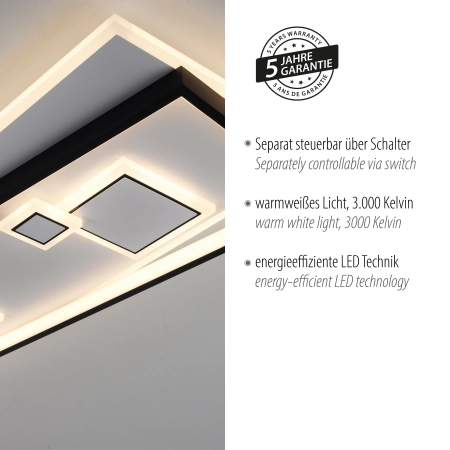 Lampa sufitowa MAILAK 6391-16 - Paul Neuhaus