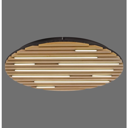 Lampa sufitowa / kinkiet z lamelem na pilota + smart  Q-AKUSTIK 6421-79 - Paul Neuhaus