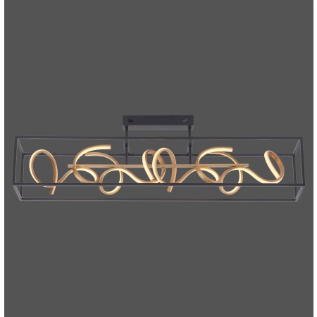 Lampa sufitowa SELINA 6473-18 - Paul Neuhaus