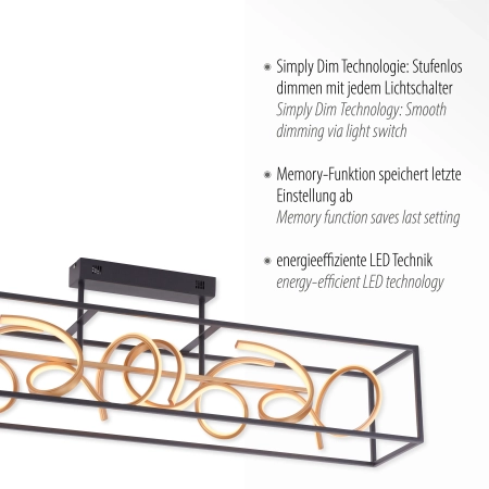 Lampa sufitowa SELINA 6473-18 - Paul Neuhaus