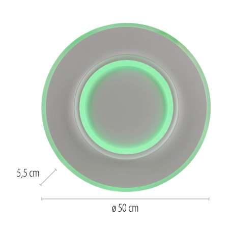 Lampa sufitowa z aplikacją i pilotem  Q-KALINA 6503-16 - Paul Neuhaus