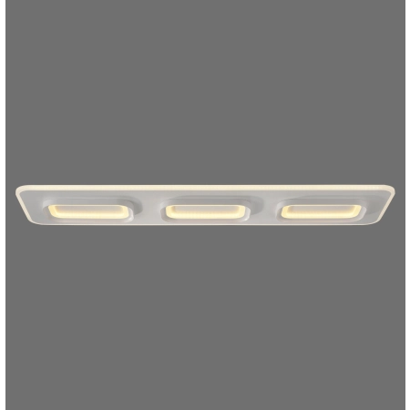 Lampa sufitowa z aplikacją i pilotem  Q-KALINA 6505-16 - Paul Neuhaus