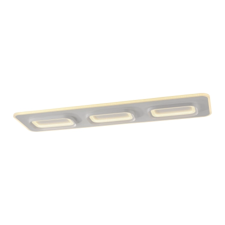 Lampa sufitowa z aplikacją i pilotem  Q-KALINA 6505-16 - Paul Neuhaus