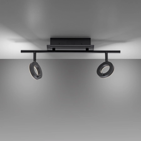 Lampa sufitowa SILEDA 6781-13 - Paul Neuhaus