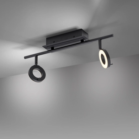 Lampa sufitowa SILEDA 6781-13 - Paul Neuhaus