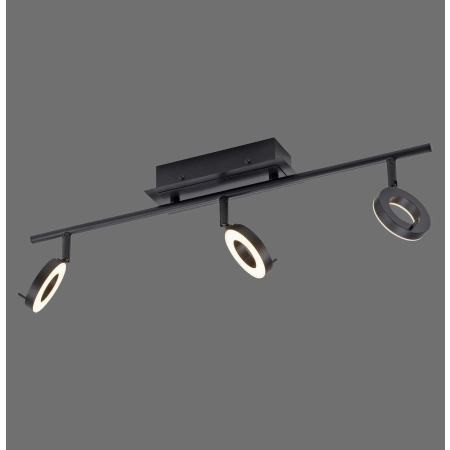 Lampa sufitowa SILEDA 6785-13 - Paul Neuhaus