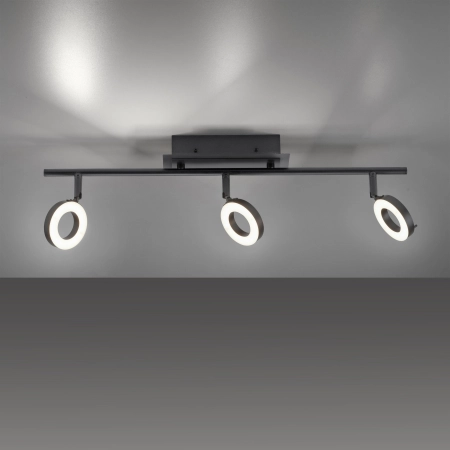Lampa sufitowa SILEDA 6785-13 - Paul Neuhaus