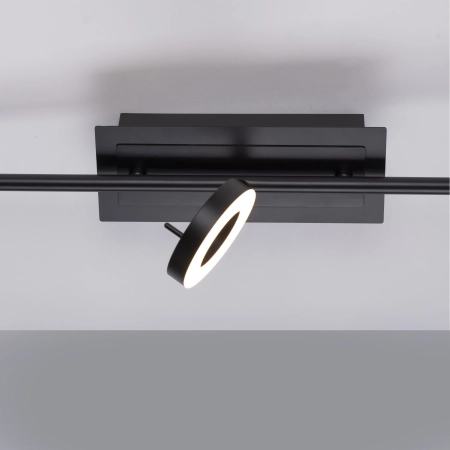 Lampa sufitowa SILEDA 6785-13 - Paul Neuhaus