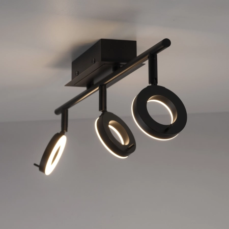 Lampa sufitowa SILEDA 6785-13 - Paul Neuhaus