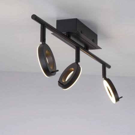 Lampa sufitowa SILEDA 6785-13 - Paul Neuhaus