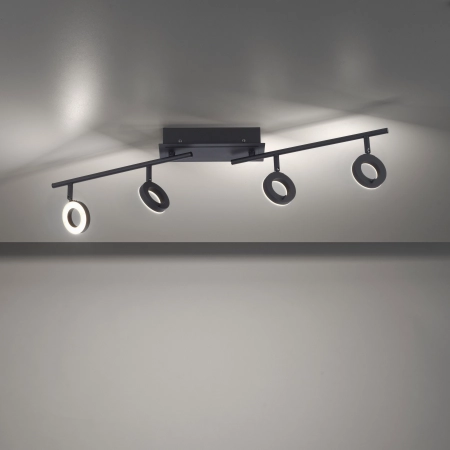 Lampa sufitowa SILEDA 6786-13 - Paul Neuhaus