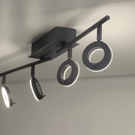 Lampa sufitowa SILEDA 6786-13 - Paul Neuhaus
