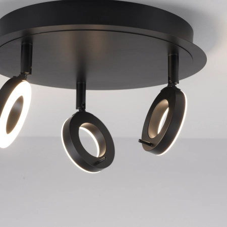 Lampa sufitowa SILEDA 6788-13 - Paul Neuhaus