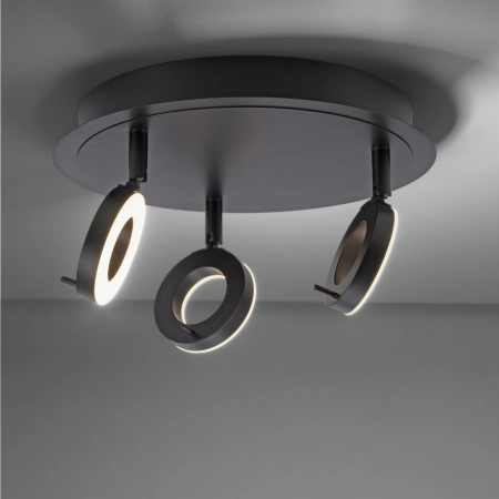 Lampa sufitowa SILEDA 6788-13 - Paul Neuhaus