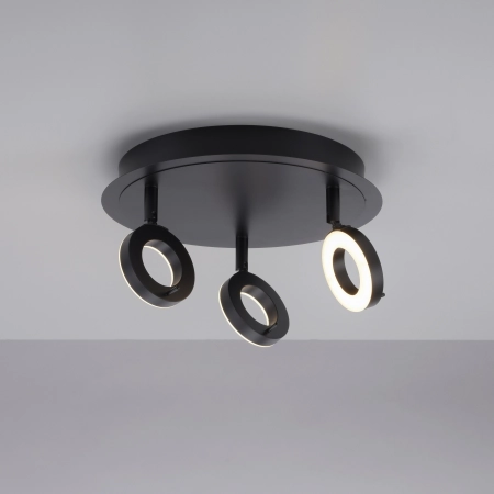 Lampa sufitowa SILEDA 6788-13 - Paul Neuhaus