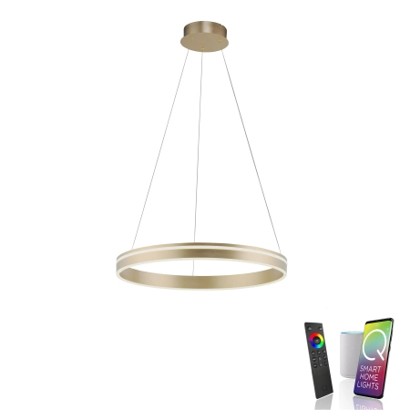 Lampa wisząca na pilota i aplikację smart Q-VITO 8411-60 - Paul Neuhaus