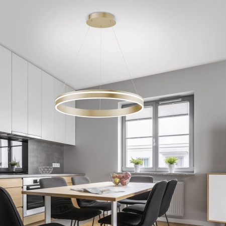 Lampa wisząca na pilota i aplikację smart Q-VITO 8411-60 - Paul Neuhaus