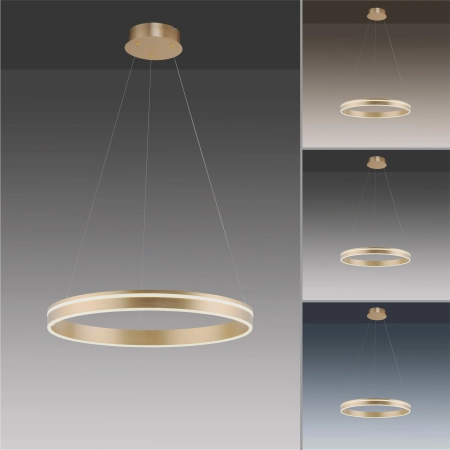 Lampa wisząca na pilota i aplikację smart Q-VITO 8411-60 - Paul Neuhaus