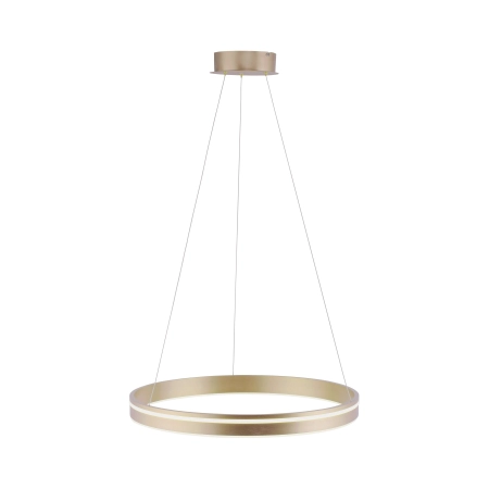 Lampa wisząca na pilota i aplikację smart Q-VITO 8411-60 - Paul Neuhaus