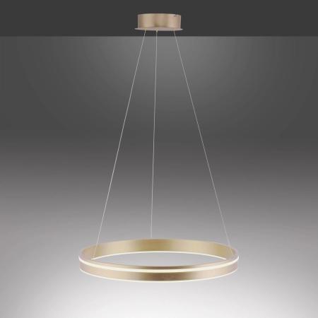 Lampa wisząca na pilota i aplikację smart Q-VITO 8411-60 - Paul Neuhaus