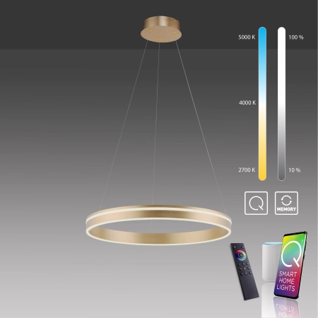 Lampa wisząca na pilota i aplikację smart Q-VITO 8411-60 - Paul Neuhaus