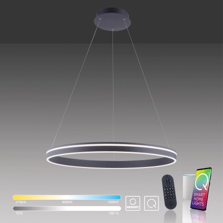 Lampa wisząca na pilota i aplikację smart Q-VITO 8412-13 - Paul Neuhaus