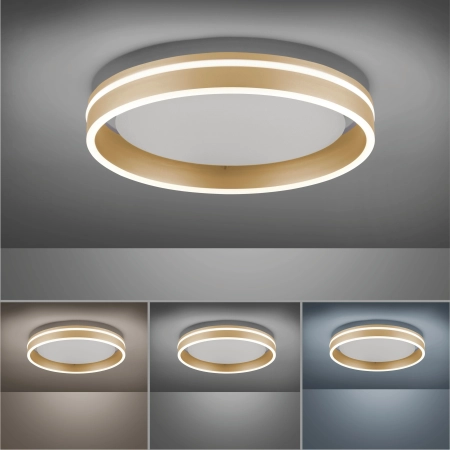 Lampa sufitowa z aplikacją i pilotem  Q-VITO 8414-60 - Paul Neuhaus