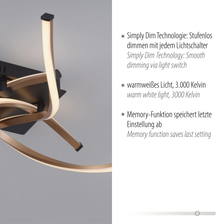 Lampa sufitowa POLINA 9144-18 - Paul Neuhaus