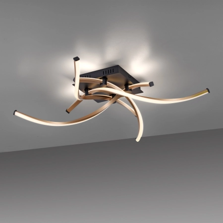 Lampa sufitowa POLINA 9144-18 - Paul Neuhaus