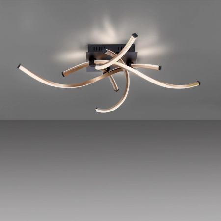 Lampa sufitowa POLINA 9144-18 - Paul Neuhaus