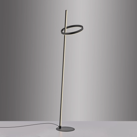 Lampa podłogowa RITUS 15397-18 - Paul Neuhaus