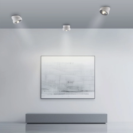Lampa sufitowa PURE MOVE 6235-16 - Paul Neuhaus