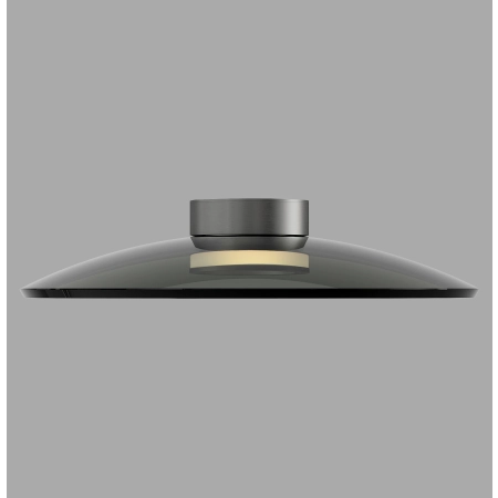 Lampa sufitowa PURE MOON szara 6095-15 - Paul Neuhaus