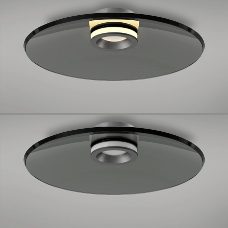 Lampa sufitowa PURE MOON szara 6095-15 - Paul Neuhaus
