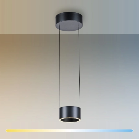 Lampa wisząca PURE CLIPSE 2471-15 - Paul Neuhaus