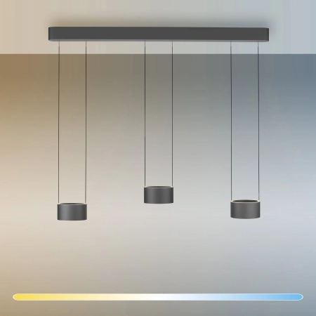 Lampa wisząca PURE CLIPSE 2473-15 - Paul Neuhaus