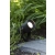 Reflektor ogrodowy GARDEN 24 15W Czarny 107291 - Markslojd