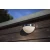 Lampa naścienna BUBBLE PIR stalowy 6908701001 – Lutec
