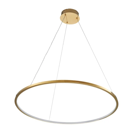 Lampa wisząca CIRCLE SLIM 80 LED złoty 80 cm ST-10112P-D800 - Step Into Design