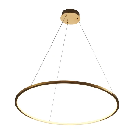 Lampa wisząca CIRCLE SLIM 80 LED złoty 80 cm ST-10112P-D800 - Step Into Design