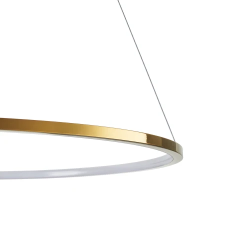 Lampa wisząca CIRCLE SLIM 80 LED złoty 80 cm ST-10112P-D800 - Step Into Design