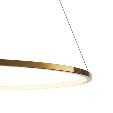Lampa wisząca CIRCLE SLIM 80 LED złoty 80 cm ST-10112P-D800 - Step Into Design